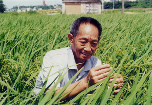 袁隆平院士-联合会名誉会长