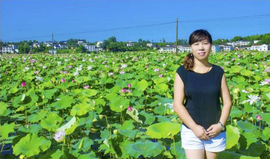 农企风采（18）岳荷农业