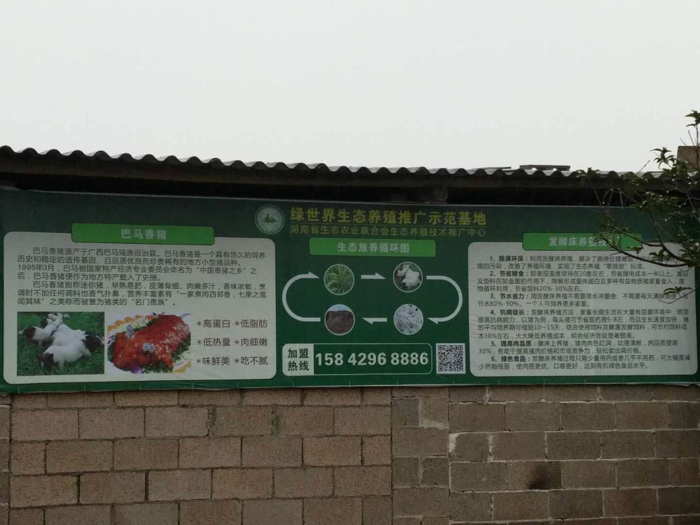 农企风采（1）湘农联生态养殖推广中心