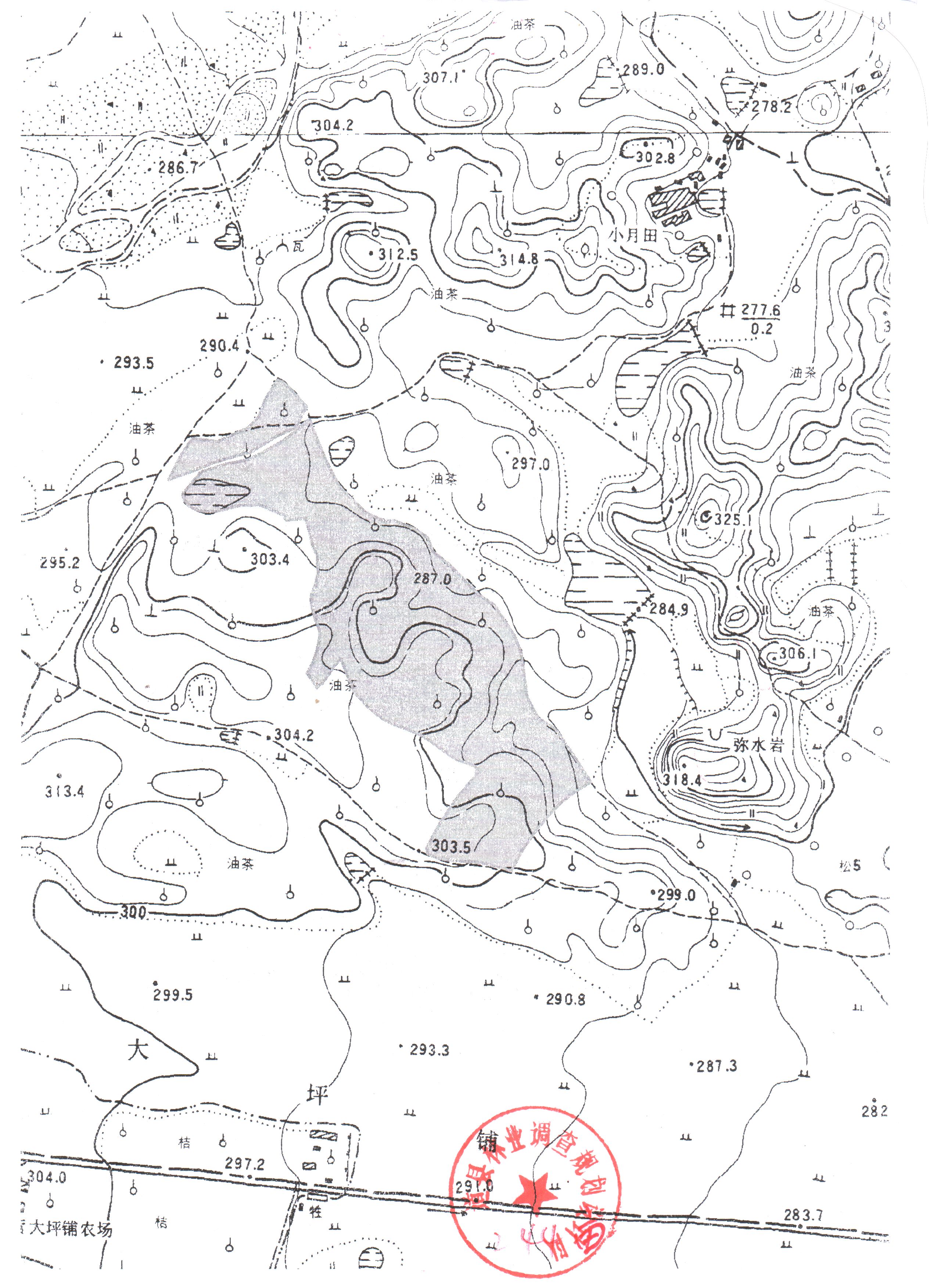 地形图_看图王.jpg