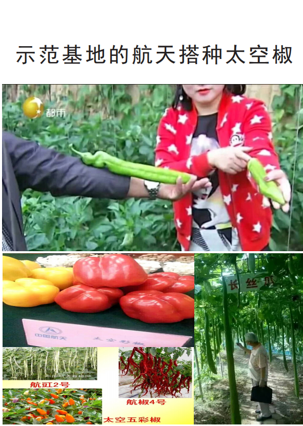 9.png